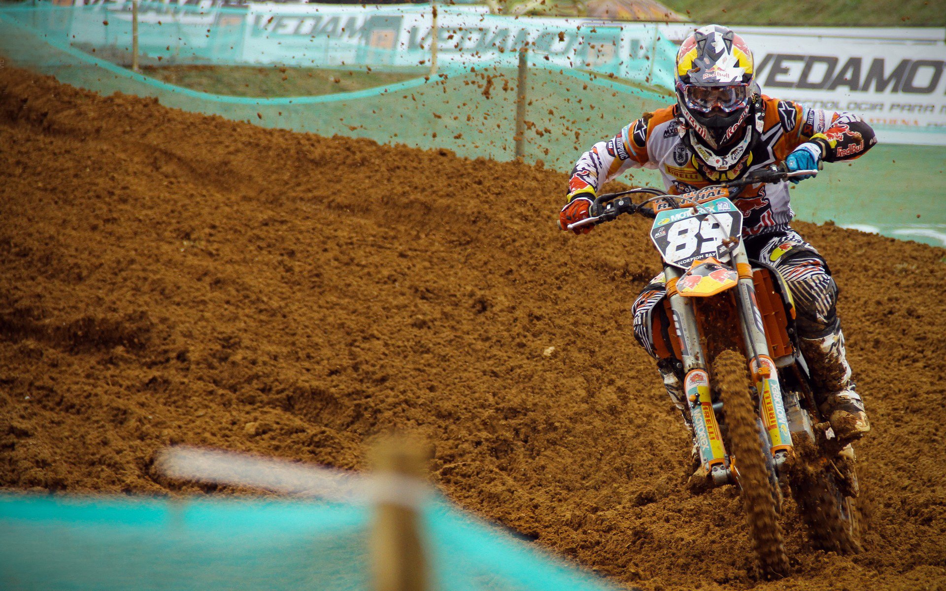 开云集团中国官网-“美洲狮队奋勇拼搏，征战橄榄球冠军锦标赛”